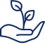 Sustainable Growth